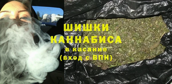 ГАЛЛЮЦИНОГЕННЫЕ ГРИБЫ Щучье