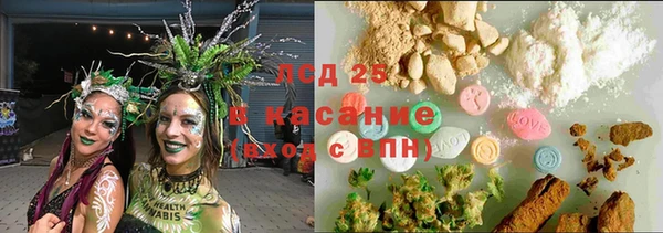 ГАЛЛЮЦИНОГЕННЫЕ ГРИБЫ Щучье
