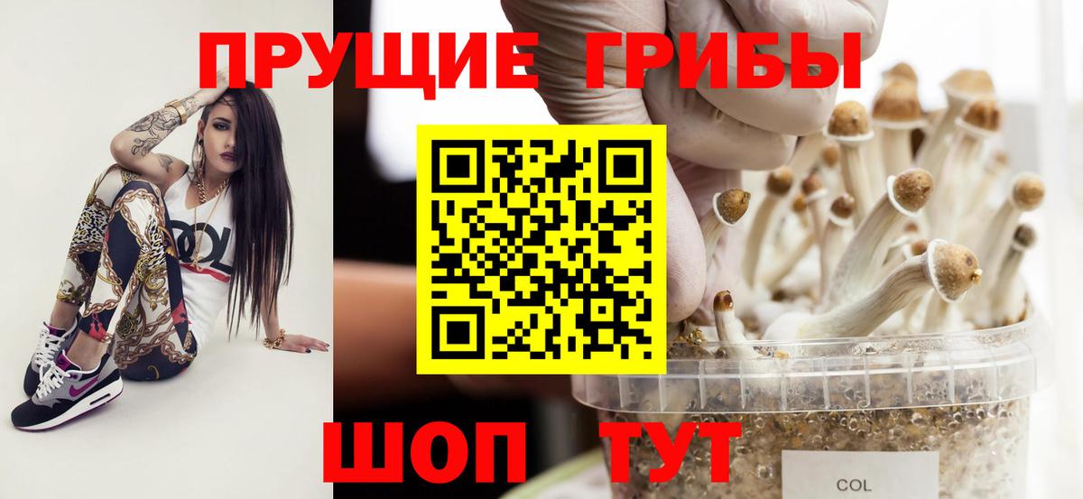 Псилоцибиновые грибы Psilocybine cubensis  купить наркотик  Междуреченск  Вход с VPN 