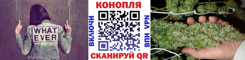 МАРИХУАНА SATIVA & INDICA Междуреченск