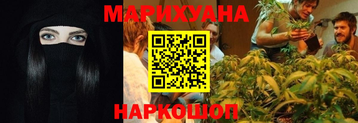 Конопля конопля Междуреченск